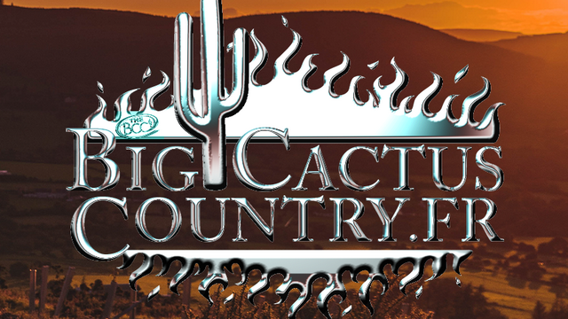 Big Cactus Country 